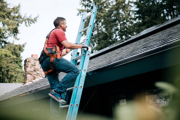 Best Rubber Roofing (EPDM, TPO)  in Norristown, PA
